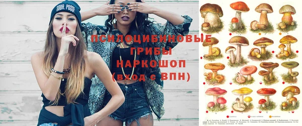 мдпв Балахна