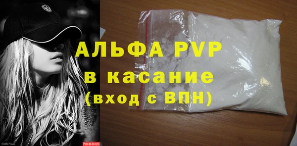 ПСИЛОЦИБИНОВЫЕ ГРИБЫ Гусев
