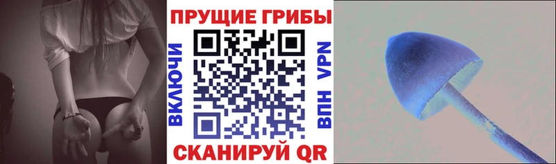 Псилоцибиновые грибы Magic Shrooms  блэк спрут онион  Белинский 